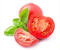 tomate e folhas de manjericão foto