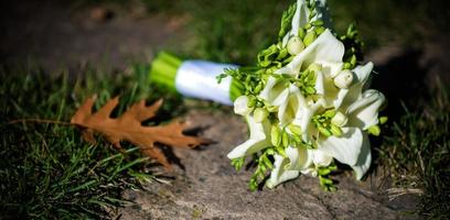 bela decoração de casamentos com diferentes folhas verdes exóticas de rees para o conceito de natureza conjunto de folhas. buquê delicado. buquê com rosas, peônias, callas para noivos foto