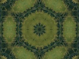 caleidoscópio estético prado verde padrão floral abstrato fundo de textura única foto
