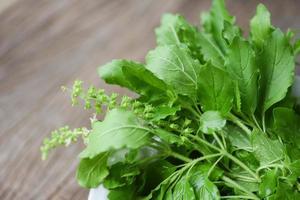 manjericão sagrado folha natureza horta na tigela e mesa de madeira cozinha erva e comida - ocimum sanctum manjericão verde na tailândia foto