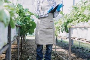 empresário futurista cultiva legumes e culturas usando tecnologia moderna de ai usando telefones celulares, sensores de temperatura e umidade, rastreamento de água, controle climático, ícones de dados de dados holográficos. foto