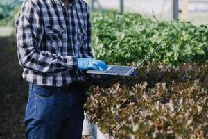 empresário futurista cultiva legumes e culturas usando tecnologia moderna de ai usando telefones celulares, sensores de temperatura e umidade, rastreamento de água, controle climático, ícones de dados de dados holográficos. foto