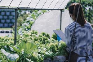 agricultora trabalhando cedo na fazenda segurando cesta de madeira de legumes frescos e tablet foto