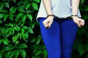 fragmento do corpo de uma jovem criminosa com as mãos algemadas contra um fundo de folhas de hera verde florescente. o conceito de detenção de um criminoso de uma criminosa feminina em um ambiente rural foto