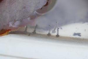 larvas de mosquito em água estagnada close-up foto