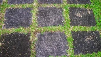 calçada de blocos de concreto com grama verde no meio. como plano de fundo foto