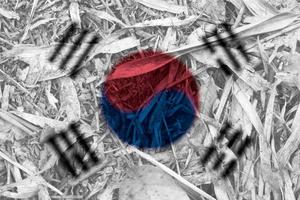 textura da bandeira coreana como pano de fundo foto