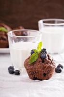 muffins de chocolate com mirtilos foto