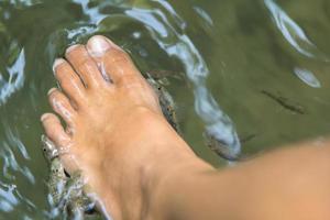 banhar os pés na cachoeira para os peixes comerem é um tratamento natural de spa. na cachoeira, milhares de peixes se deliciam com os pés da jovem. foto