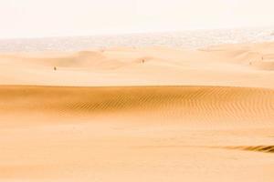 paisagem nas ilhas canárias foto