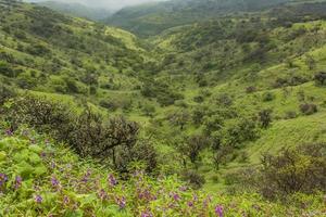 vista em salalah, omã foto