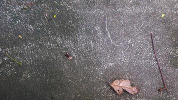 textura de rua de concreto com folhas secas foto