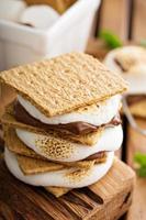 sobremesa de piquenique smores com marshmallows foto