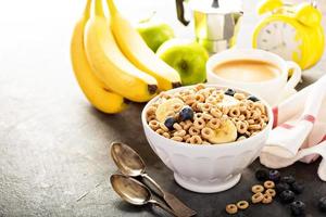 cereal frio saudável em uma tigela branca foto