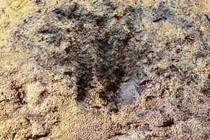 vista detalhada de perto em uma textura de terra de areia marrom foto