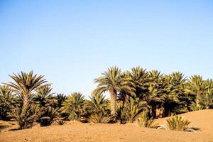 paisagem do deserto em marrocos foto