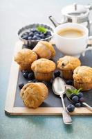 muffins de mirtilo em uma bandeja foto
