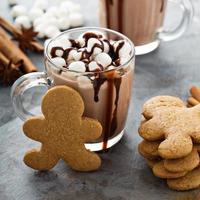 chocolate quente com marshmallows e biscoitos foto