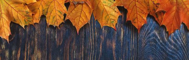 folhas de outono sobre fundo de madeira. quadro de folhas de outono. bandeira foto