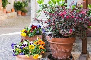 floreiras ao ar livre com flores frescas na rua foto