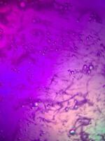 macro bolhas de sabão coloridas gradiente abstrato azul rosa foto