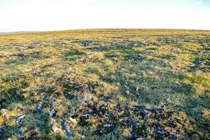 paisagem na suécia, europa foto