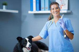 veterinário feminino vacinando um cachorro na clínica foto