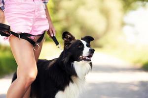 barriga de mulher passeando com seu animal de estimação no lazer foto