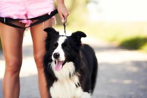 barriga de mulher passeando com seu animal de estimação no lazer foto