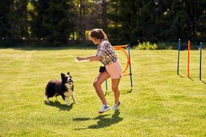 cachorro border collie e uma mulher em um campo de agilidade foto