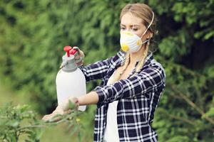 mulher adulta pulverizando plantas no jardim para proteger de doenças foto