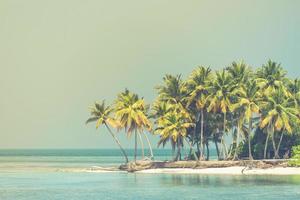 palmeiras verdes em uma praia de areia branca. modelo de paisagem tropical exótica, banner de praia com espaço de cópia. maravilhoso conceito de natureza tropical foto