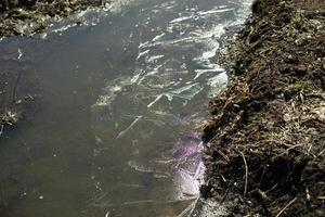 água no rio na primavera. riacho da floresta. foto