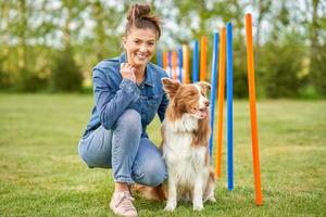 border collie branco chocolate com dona foto