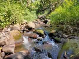 cachoeira no riacho foto