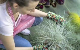 jovem em um viveiro segurando uma planta com flores nas mãos enquanto ela se ajoelha na passarela entre as plantas. foto