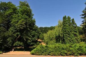 parque sofiyivsky - uman, ucrânia foto