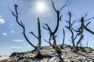 ilha de bazaruto, moçambique foto