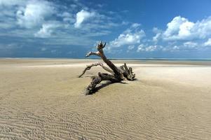 ilha de magaruque - moçambique foto