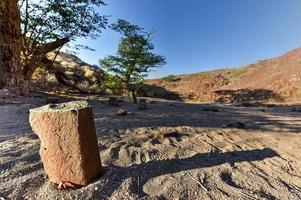 tubos de órgão - twyfelfontein, damaraland, namíbia foto