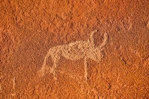 gravuras rupestres do bosquímano - namíbia foto