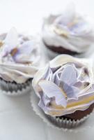 cupcakes com decoração de borboletas foto