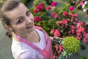 jovem em um viveiro segurando uma planta com flores nas mãos enquanto ela se ajoelha na passarela entre as plantas. foto