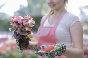 jovem em um viveiro segurando uma planta com flores nas mãos enquanto ela se ajoelha na passarela entre as plantas. foto