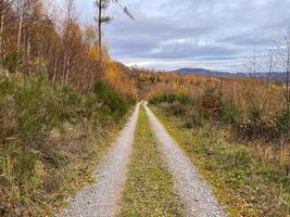 estrada de terra na floresta de montanha de outono foto