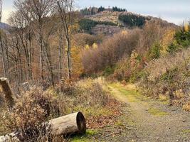 encosta de montanha arborizada, sopé da montanha, árvore caída foto