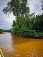 vista do rio e vegetação verde nas margens do barco foto