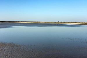 paisagem em etosha, namíbia foto