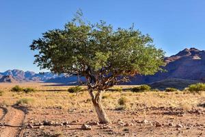 paisagem do deserto - namibrand, namíbia foto