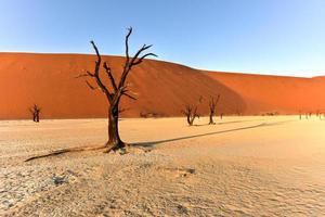 Dead Vlei, Namíbia foto